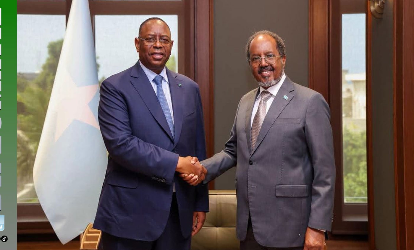 Entretien avec le Président somalien Hassan Sheikh Mohamud, 13 juillet 2026